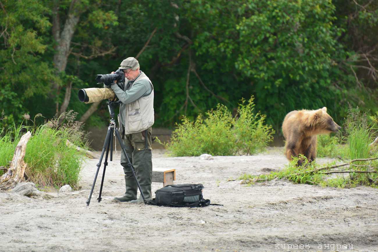 Способы заработка на фотографиях дикой природы