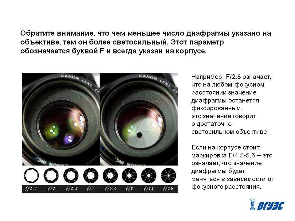 Обучение фотографии – светосила объективов | подбор объективов по светосиле — на портале abcibc.com