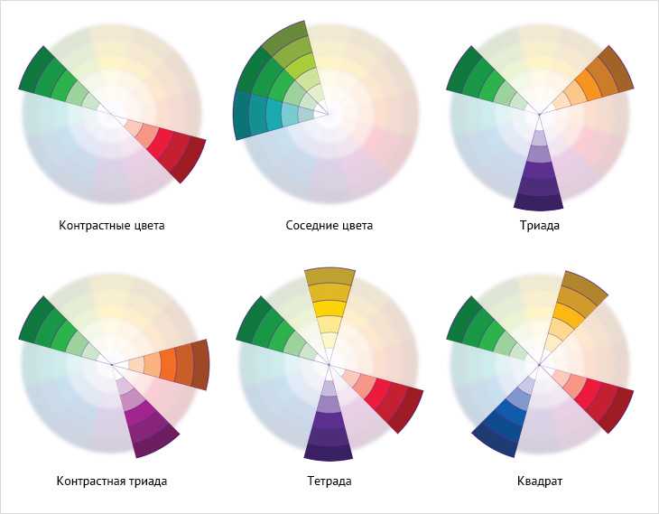 Теория цвета. цветовые сочетания в фото