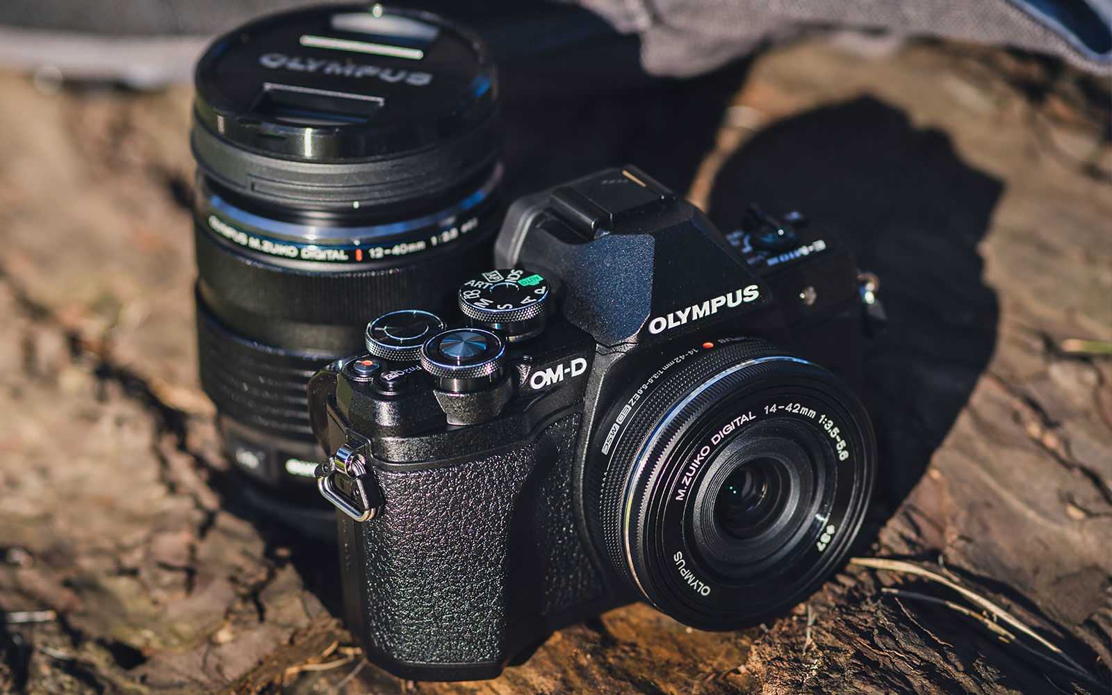 8 лучших камер canon – для себя или в подарок
