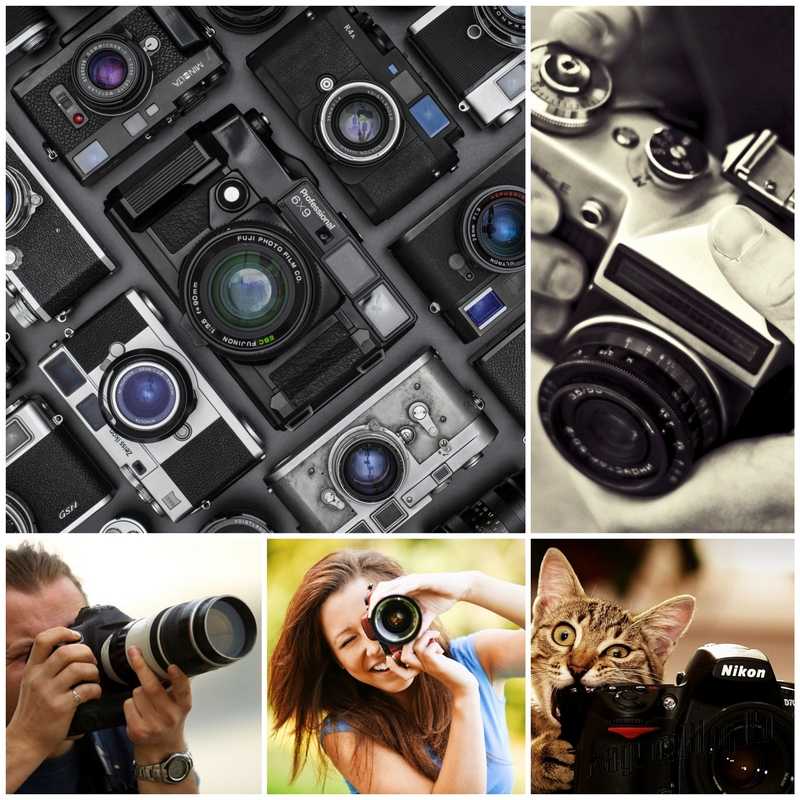 Как выбрать фотоаппарат зеркальный? как сделать правильный выбор новичку? :: syl.ru