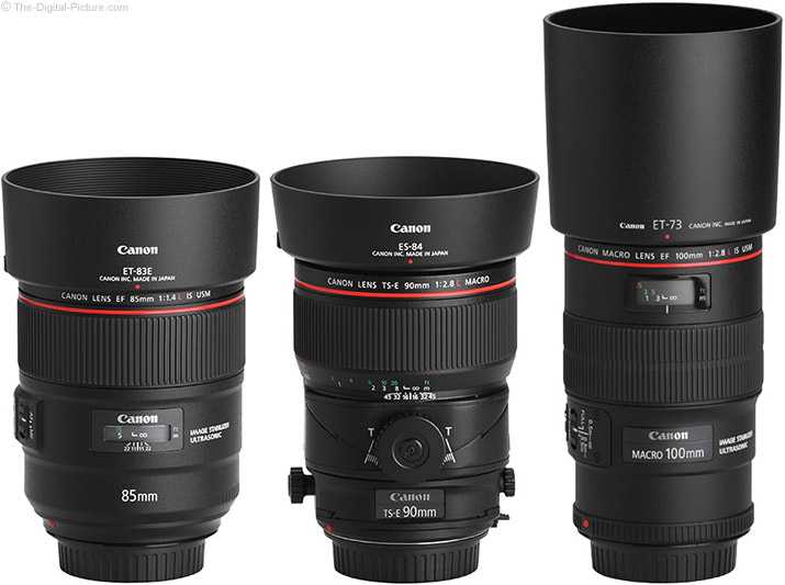 Canon ef 50mm f/1.4 usm, canon ef 100mm f/2.8 macro usm, объективы для фуд-фотографии