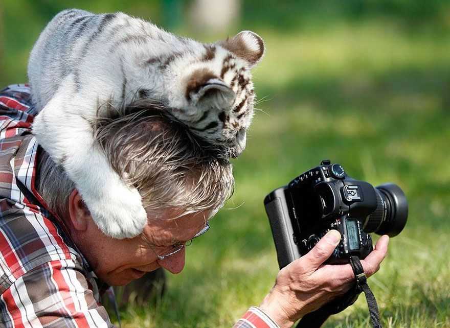 Interesting animals. Вилдлайф фотографер. День фотографа. Фотограф фотографирует животных. Фотограф анималист.