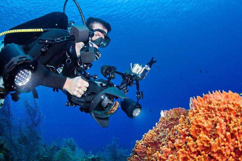 Рейтинг лучших камер для подводной съемки 2022 года позволит оценить все преимущества и недостатки популярных моделей и сделать правильный выбор.