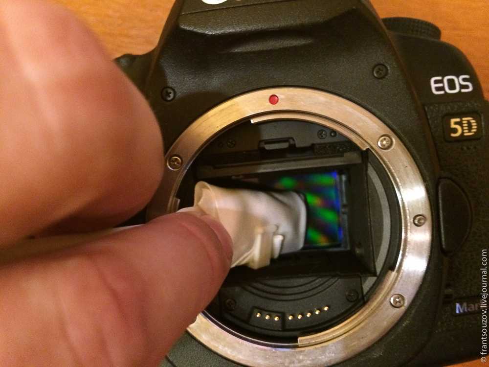 Как проверить цифровой зеркальный фотоаппарат при покупке (матрица, автофокус, затвор). как правильно проверить фотоаппарат перед покупкой, должен знать каждый