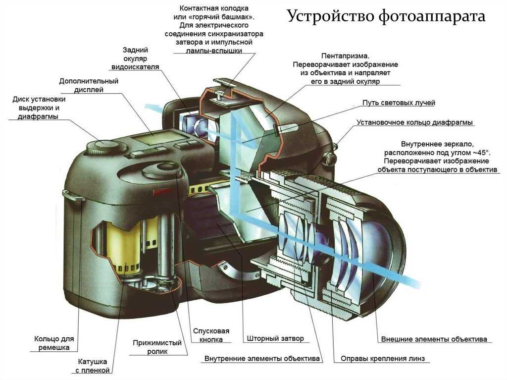 Как работает фотоаппарат Матрица фотокамеры Особенности больших и маленьких матриц Типы фотокамер Их плюсы и минусы: мобильная камера, компактные и зеркальные фотокамеры