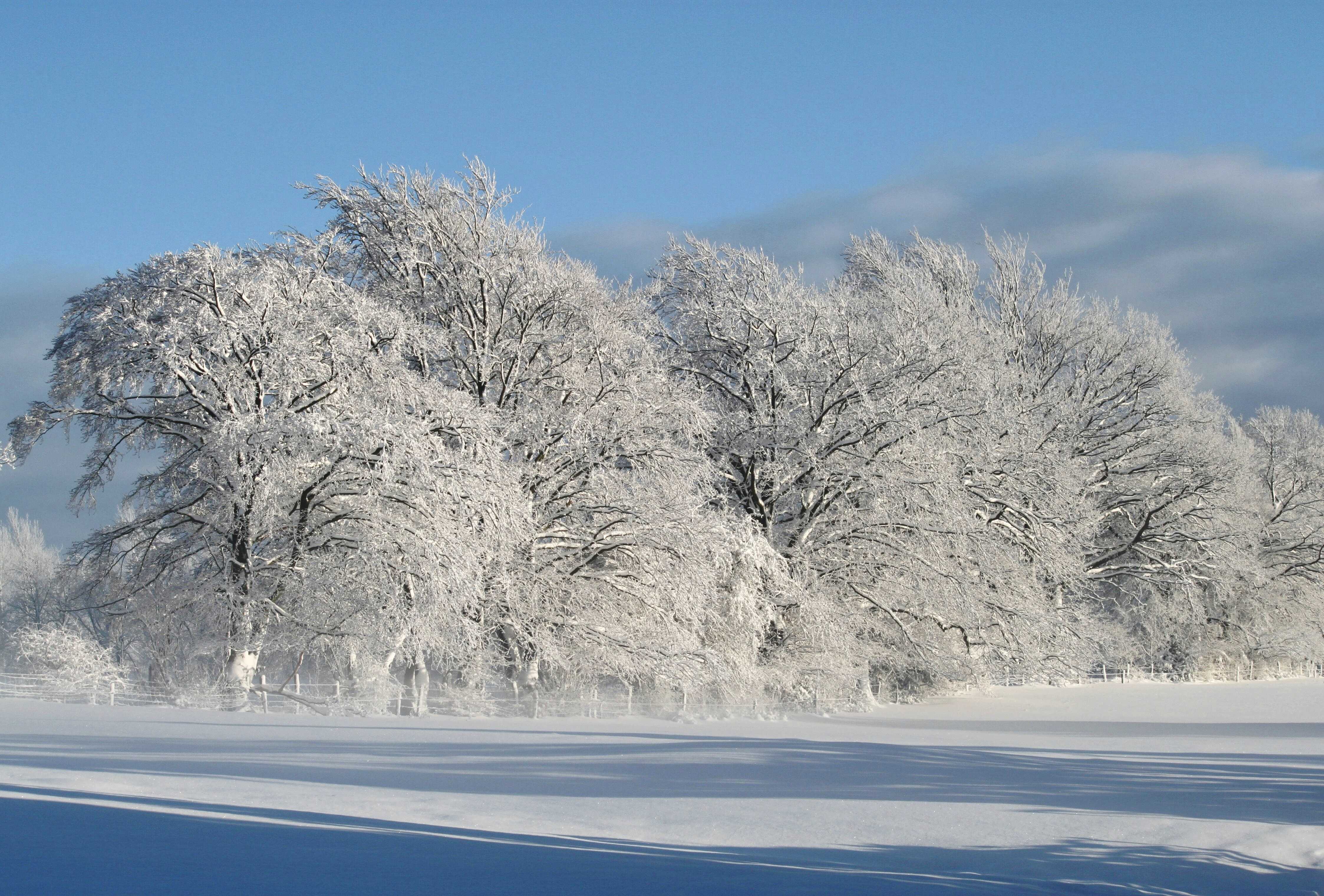 Зимняя фотосессия. как фотографировать зимой?