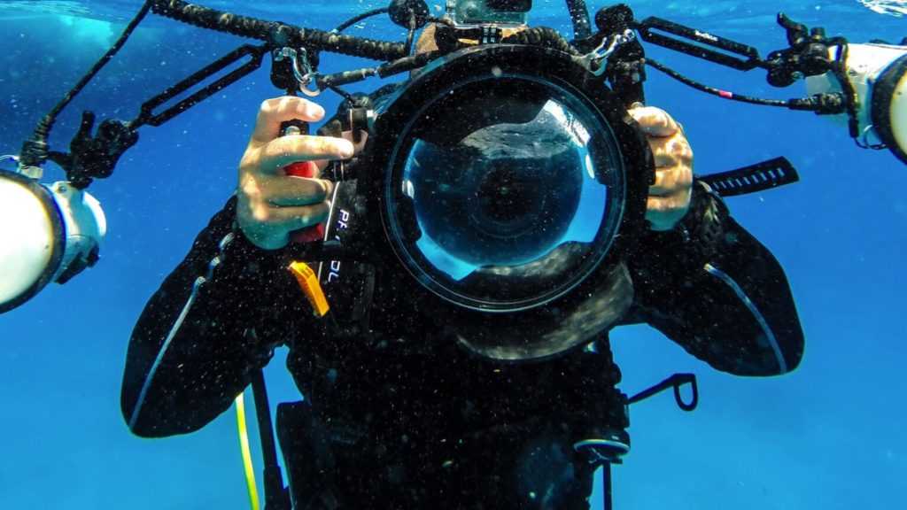 От подготовки до кадра: читайте о технических особенностях работы камеры при подводной съемки О защитных боксах и оборудование для подводной съемки