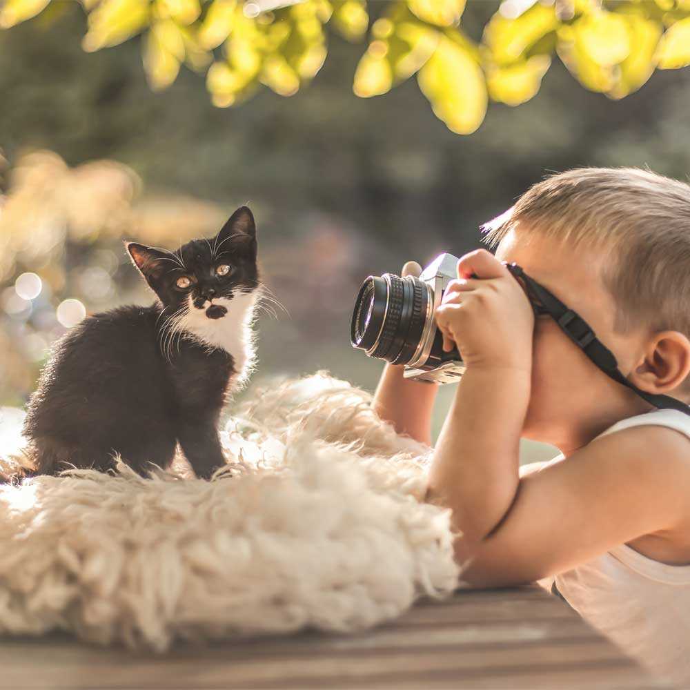 Как фотографировать собак. секреты профессиональной фотосъемки | лайтрум: уроки обработки в lightroom