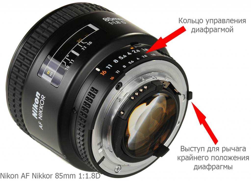 Что такое светосила объектива в фотоаппарате
