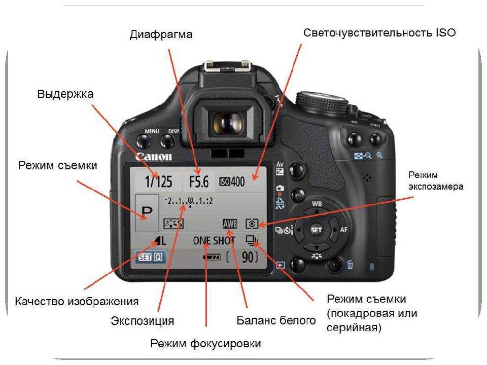 Что такое экспозиция в фотоаппарате: основы настройки и коррекции для начинающих