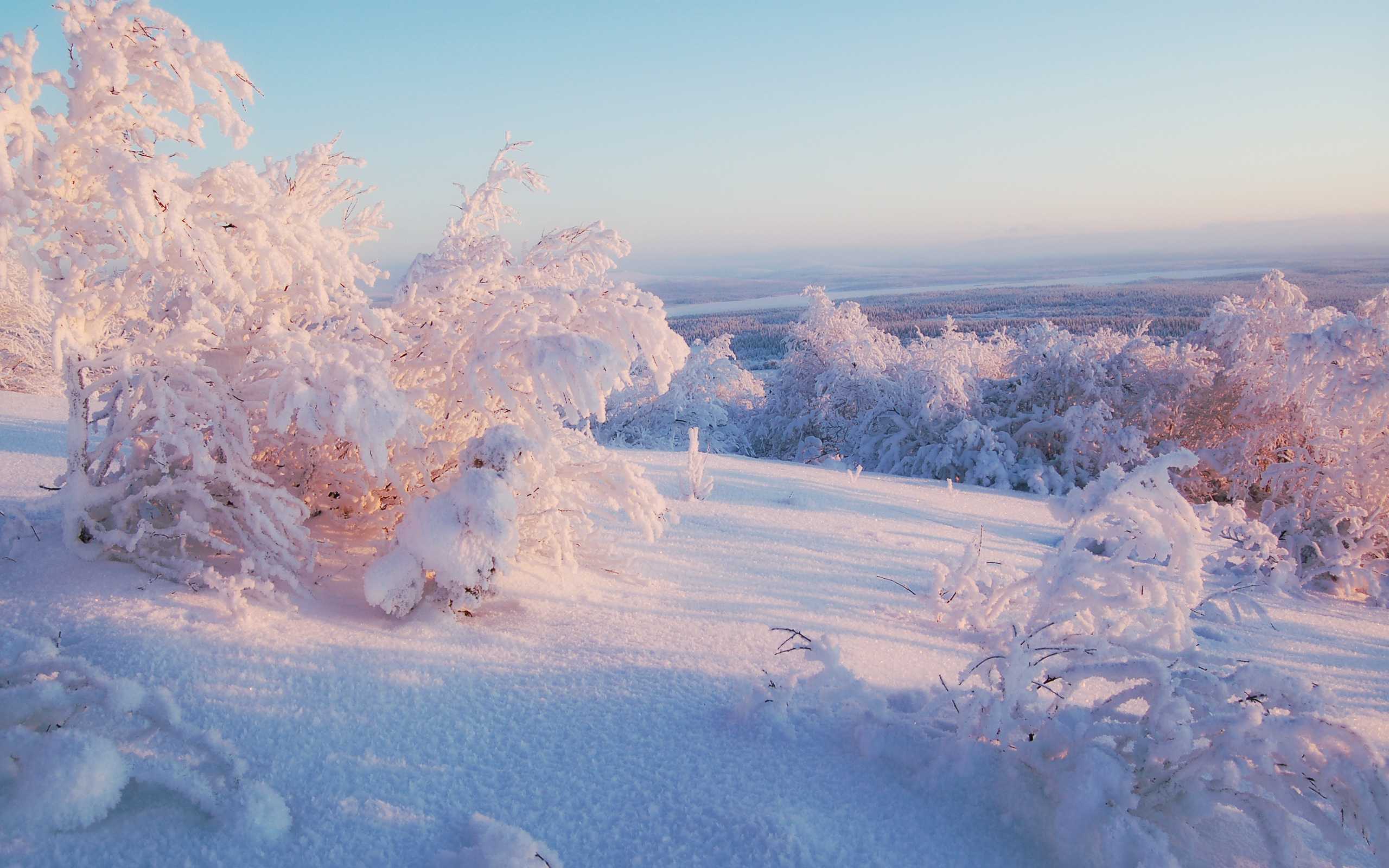 Снимки смартфоном зимой – как создавать отличные фото