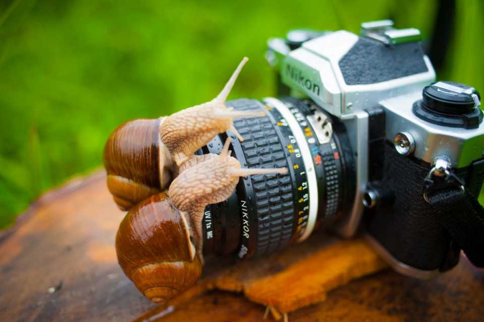 Как хорошо выглядеть в кадре: 30 советов от фотографа-профессионала