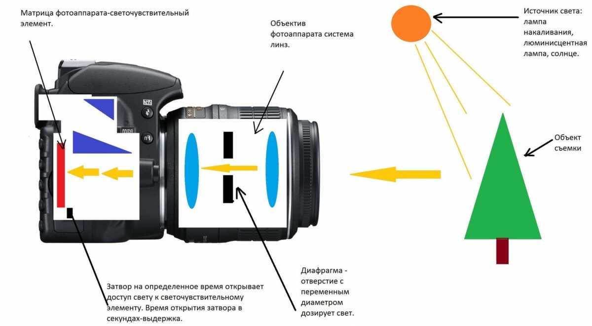 Оптический прицел: подробный обзор, характеристики, фото, видео