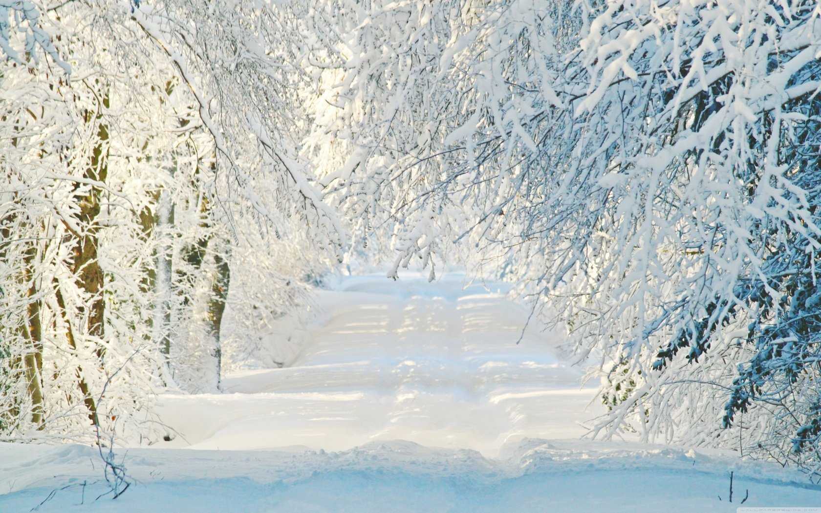 Фотосъемка зимнего пейзажа | foto-kadr.ru
