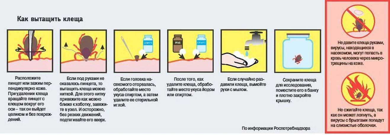 Что такое клубничные ноги и как от них избавиться - unibeauty.ru