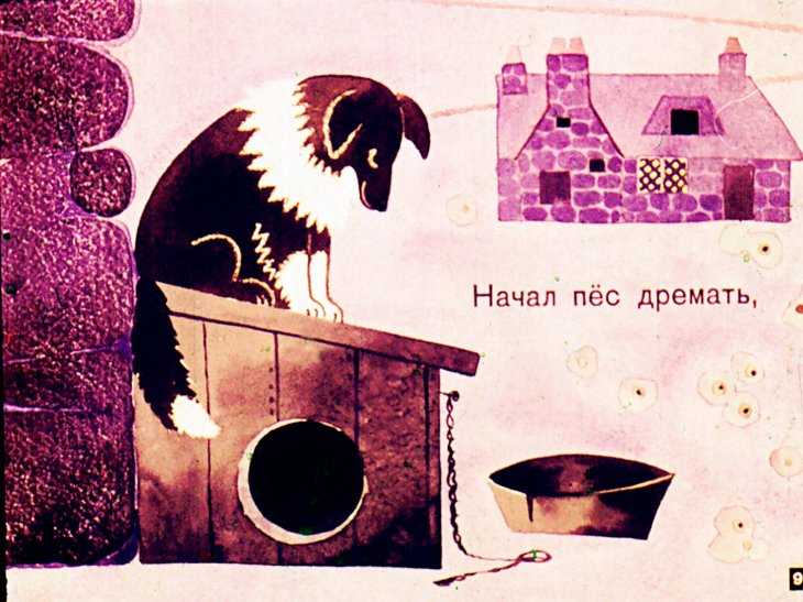 Вилли ронис - frwiki.wiki