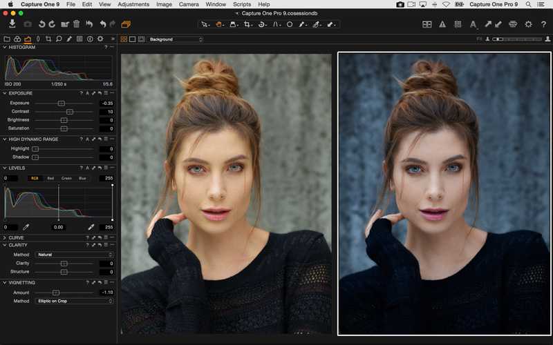 Capture one express and pro for sony: how it works