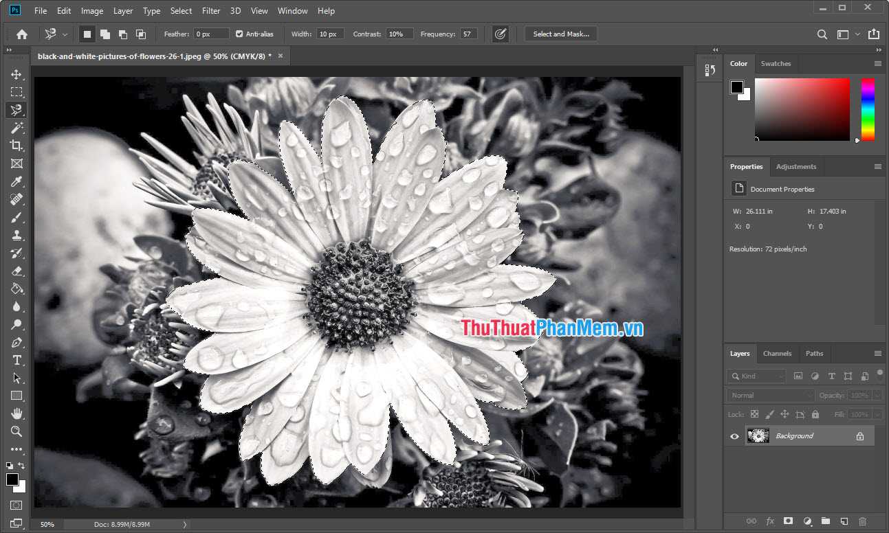 Как сделать черно-белое фото в фотошопе | verovski