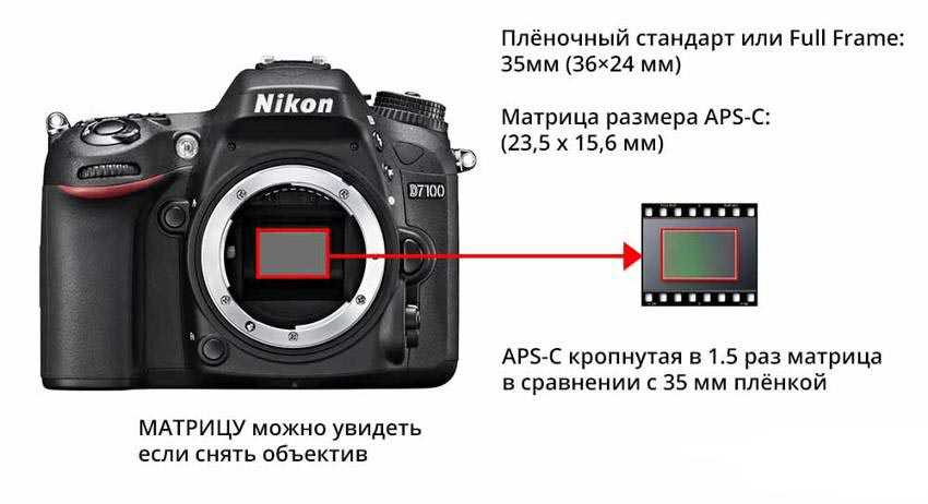 Как проверить фотоаппарат при покупке с рук