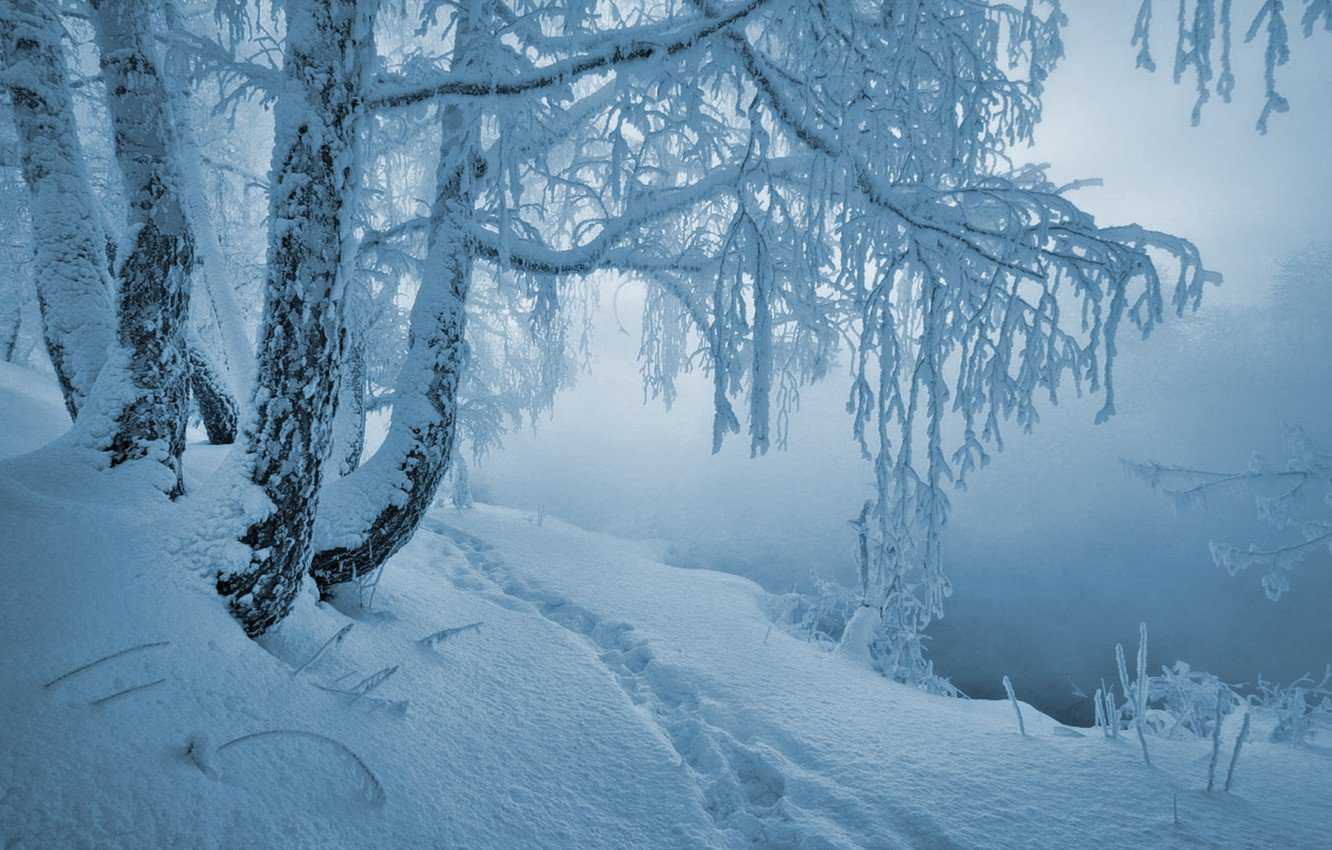 Как фотографировать зимние пейзажи