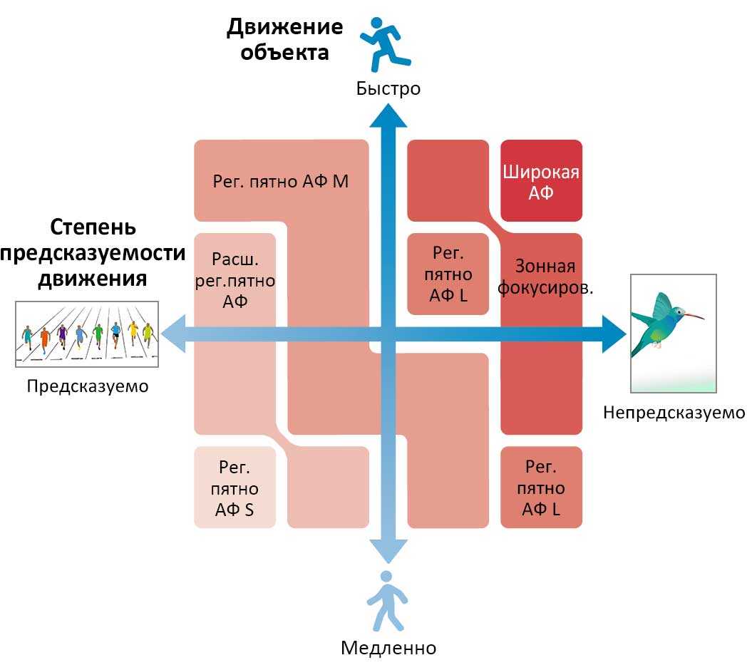 C перед. Previsibilidad