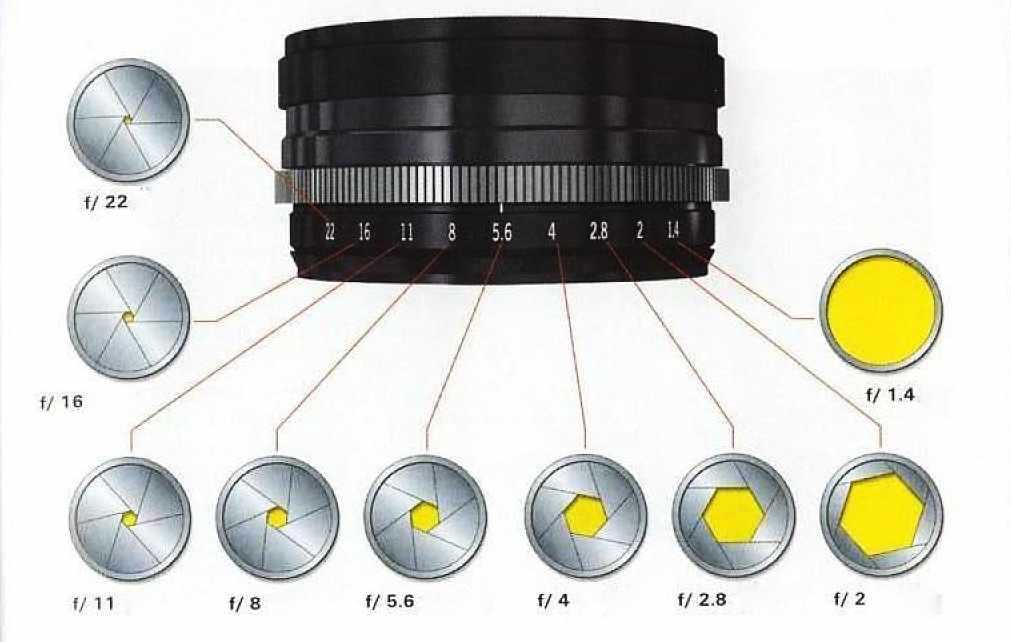 Объективы. что важнее – камера или объектив? знакомимся с оптикой — «фотоучебник»