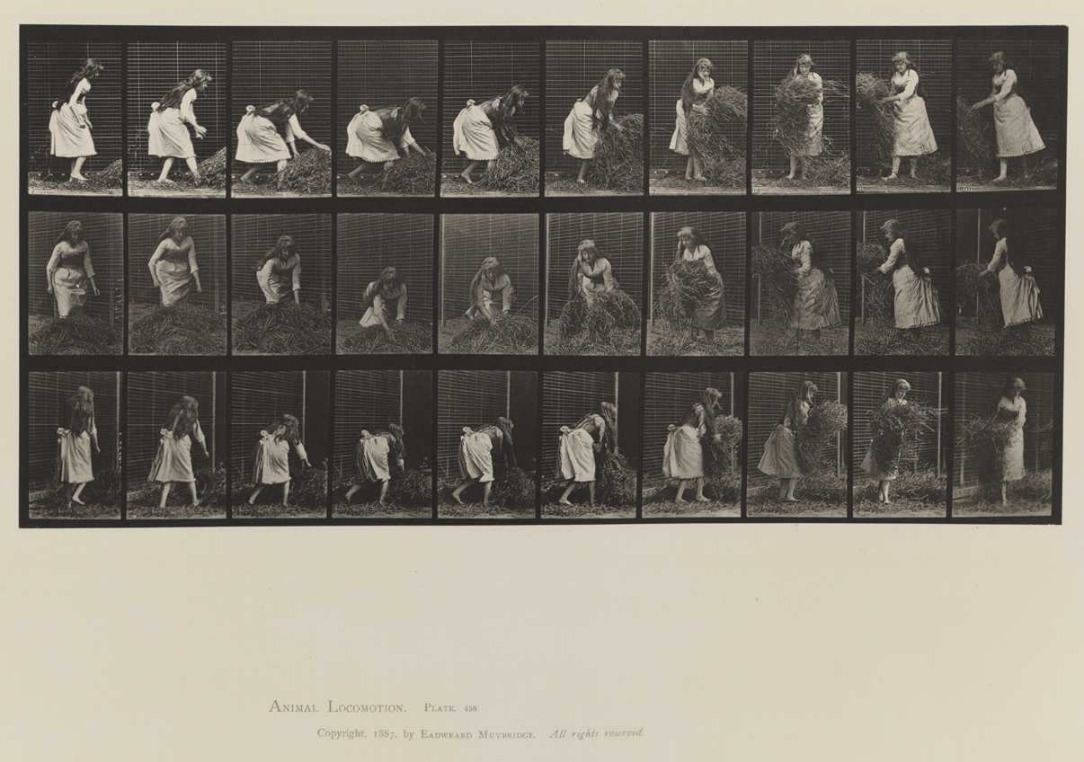 Biography of eadweard muybridge, the father of motion pictures