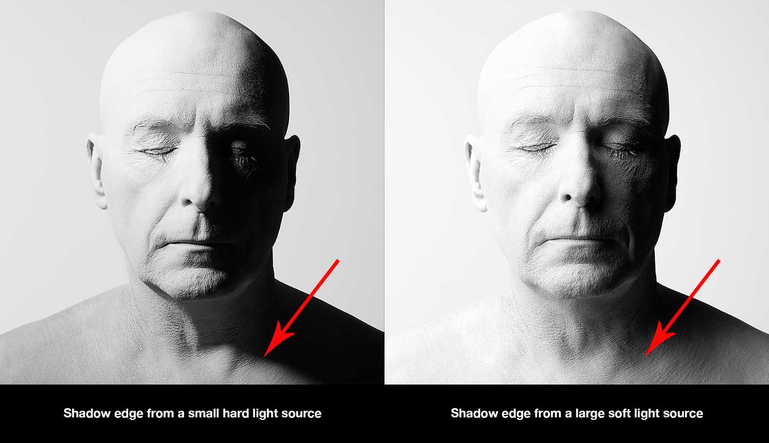 Естественный свет в фотографии: 6 правил, которые помогут делать качественные снимки – сей-хай