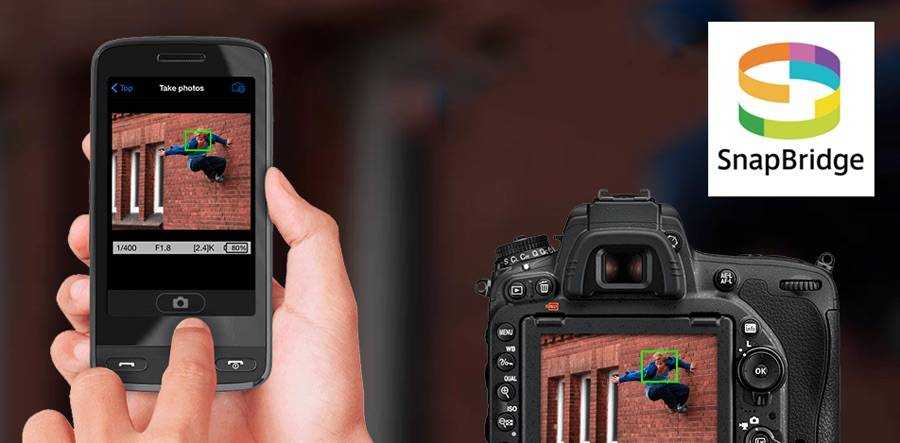 Как передавать снимки с камеры на смартфон через snapbridge / съёмка для начинающих / уроки фотографии