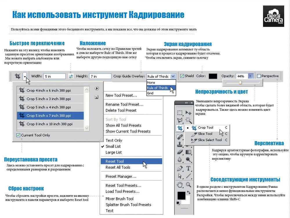 Какая кнопка на панели инструментов позволяет кадрировать изображение