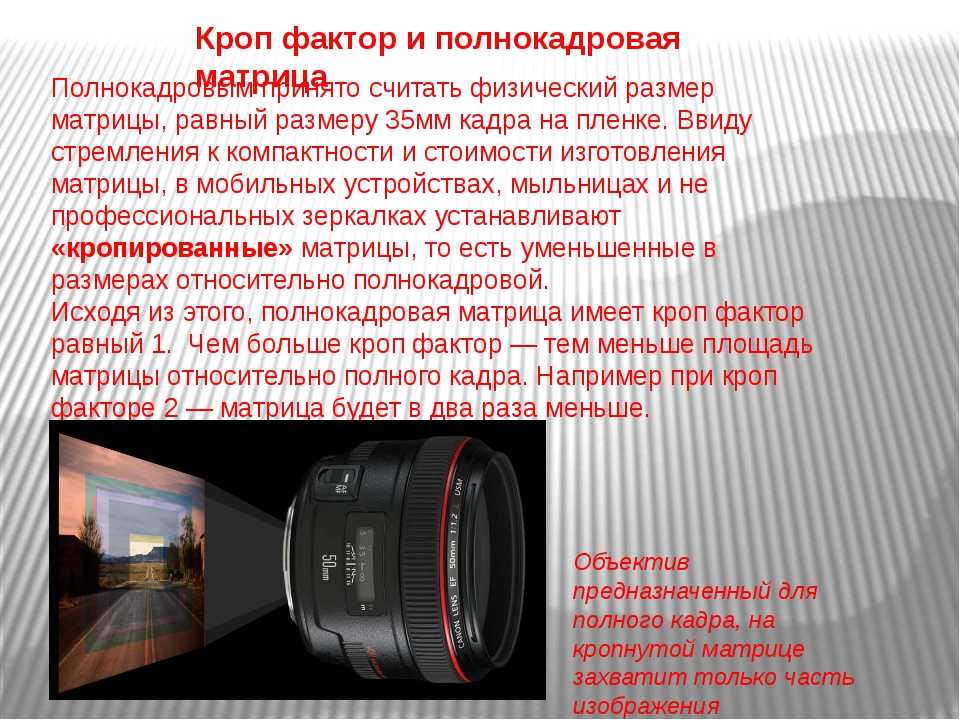 Что такое кроп фактор в фотографии – photo7.ru - сайт о фотографии