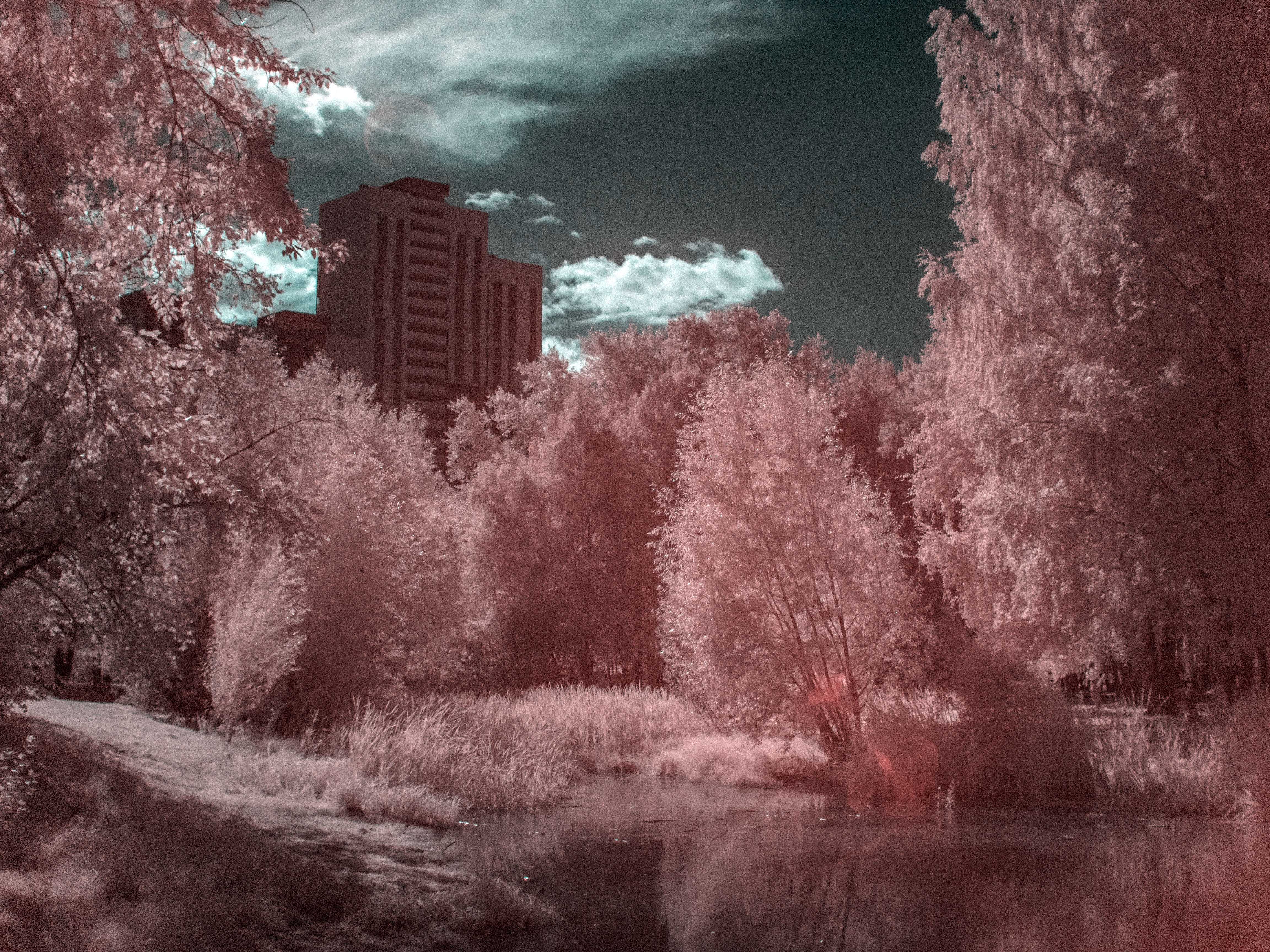 Инфракрасная фотография на чёрно-белую плёнку