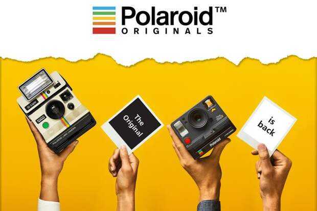 Очки polaroid как отличить подделку от оригинала: тест на поляризацию, стекла, оправа