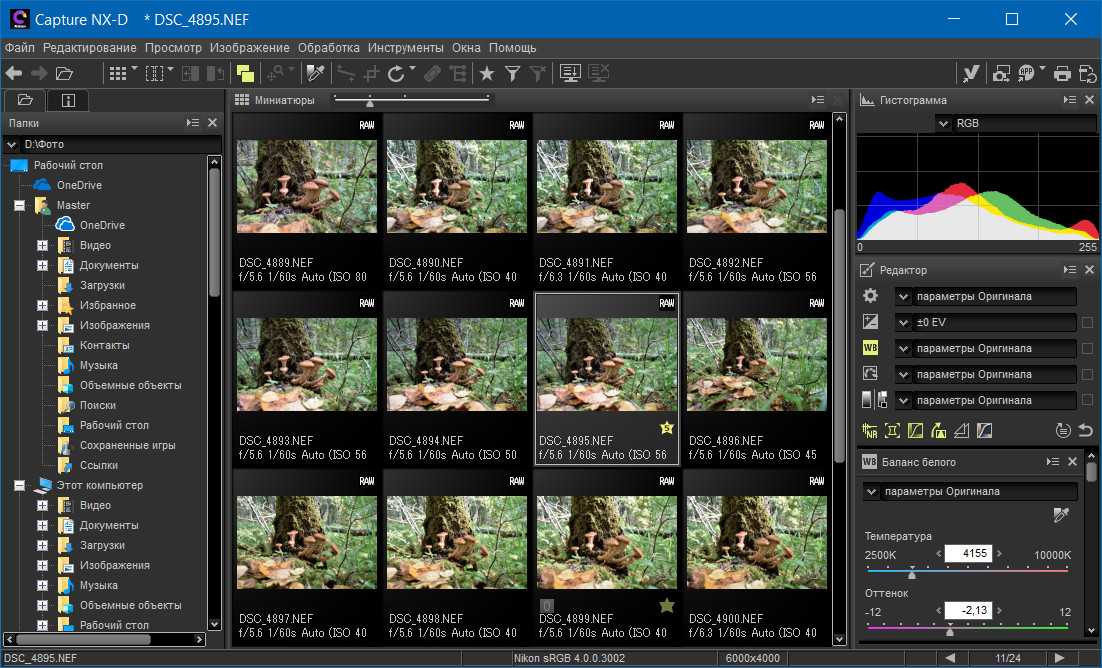 Nikon capture nx-d - редактор обработки nef-файлов. экопарк  z