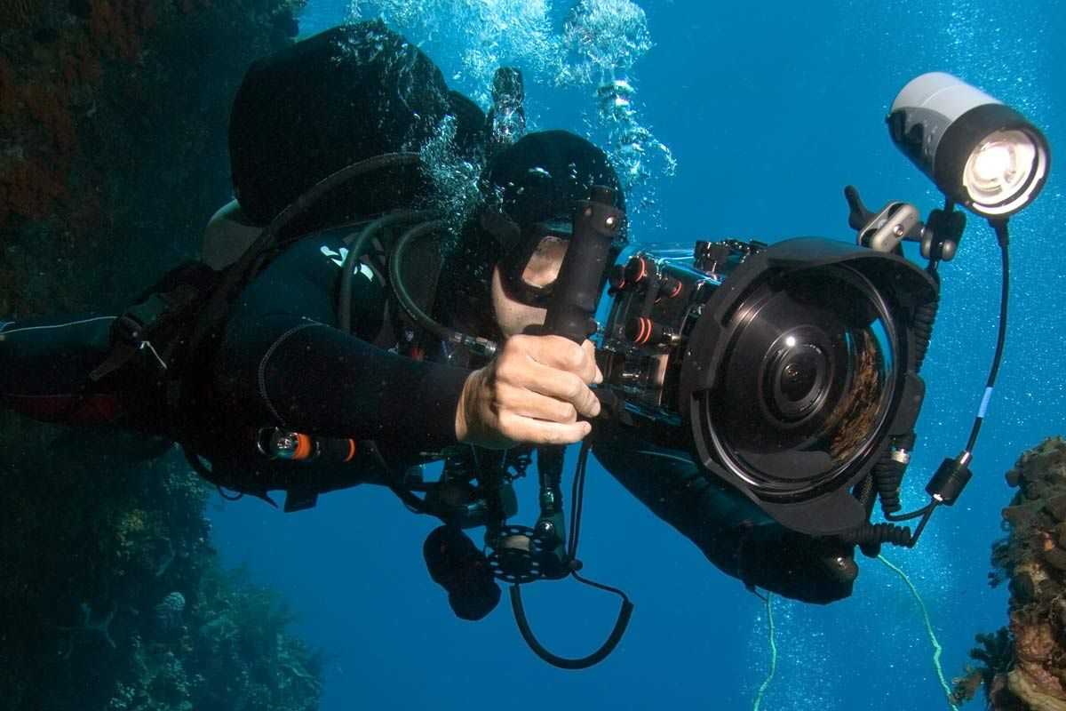 Как снимать видео под водой и какие камеры помогут вам в качественной подводной съемке