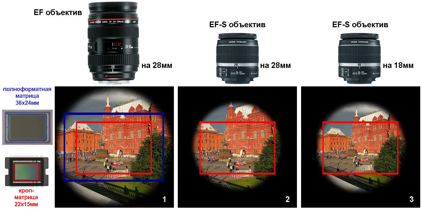 Разница фокусного расстояния. Кроп камеры Canon. Полнокадровые объективы для Nikon. Матрица фотоаппарата кроп. Объективы мегапиксельные размер матрицы 1/1.8.