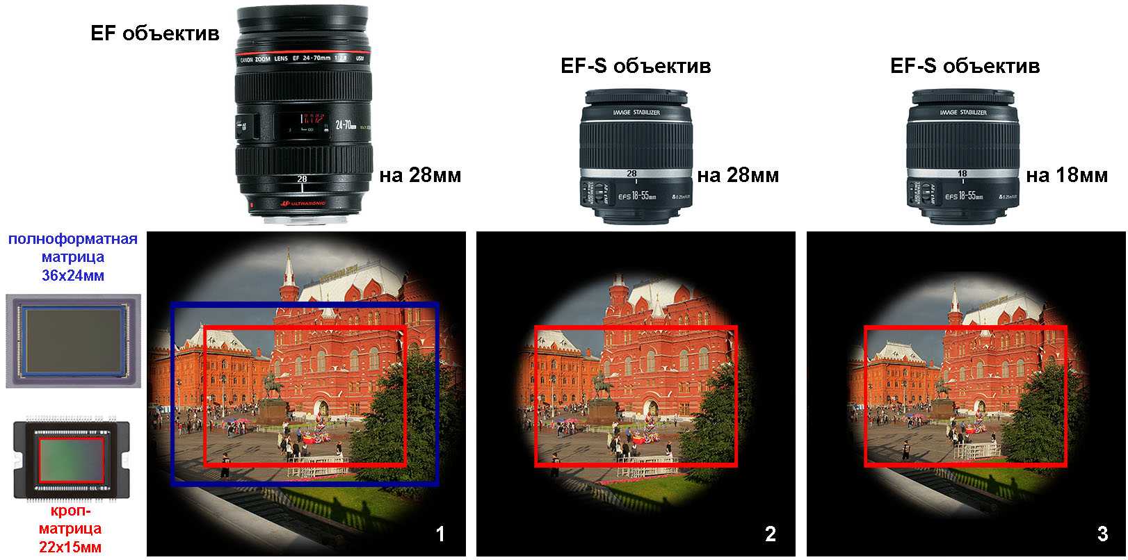 Полный кадр. Отличие матрицы полный Кадр и кроп. Кроп матрица + 24мм. Кроп матрица и полный Кадр. Фокусное расстояние объектива и размер матрицы.