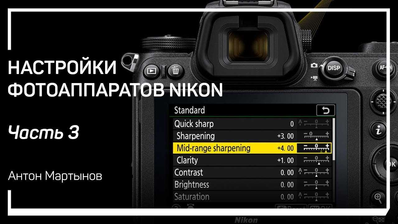 Никон д3100 настройка.как правильно настроить фотоаппарат