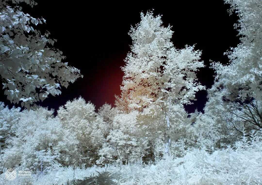 Инфракрасная фотография - infrared photography