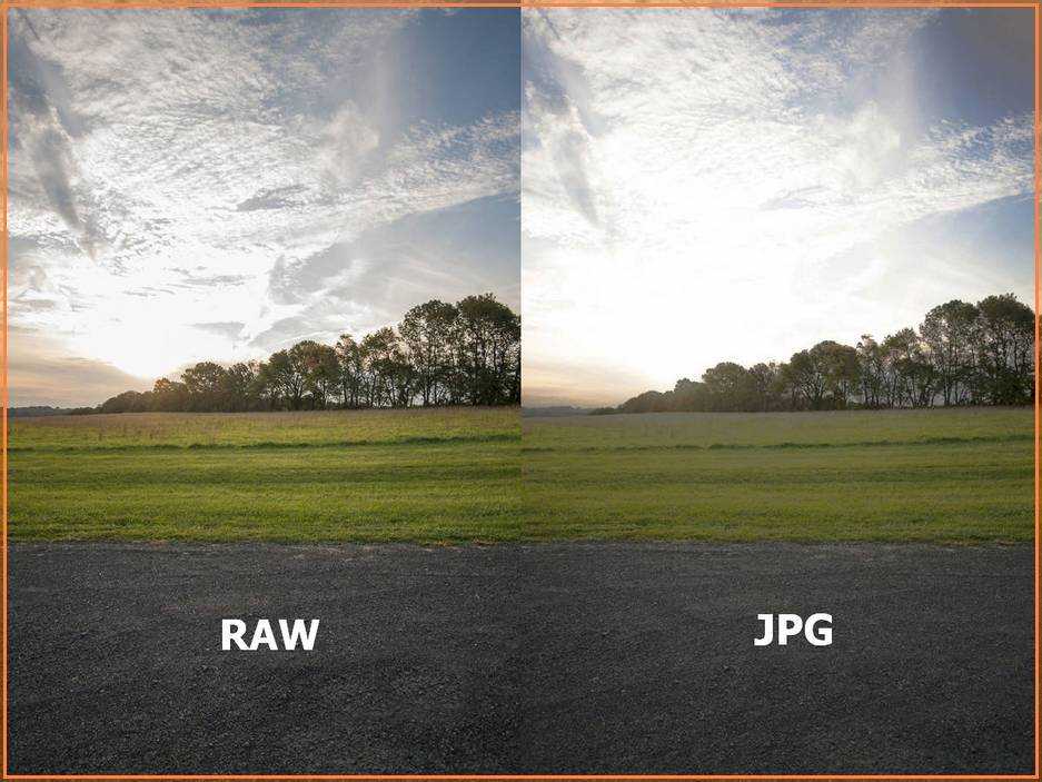 Почему фотографы выбирают формат raw для фотографирования?