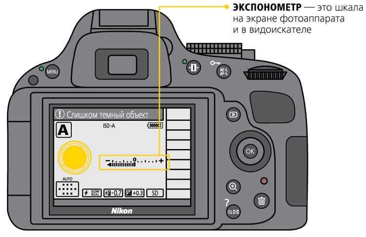 Замер экспозиции, как он работает в вашем фотоаппарате