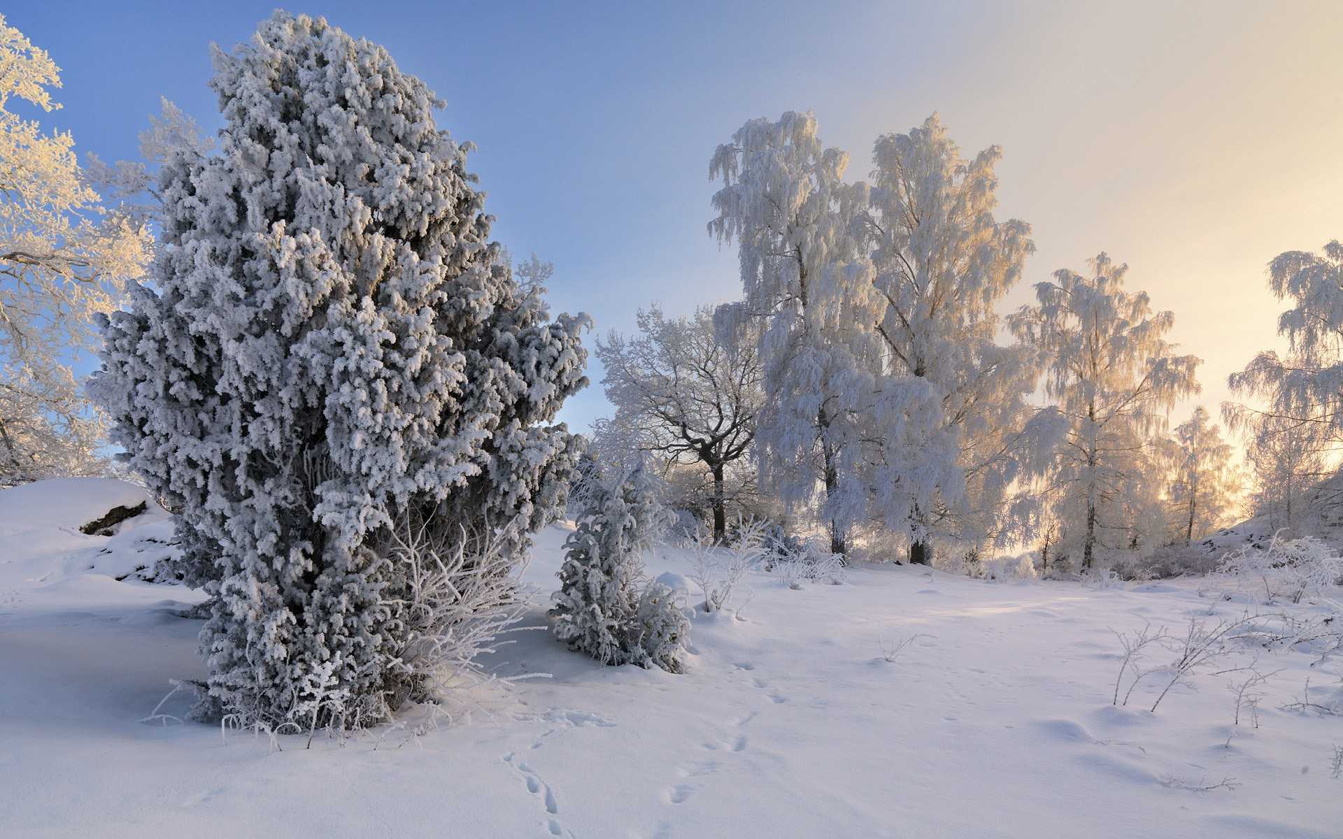 Как фотографировать зимой — полезные советы от экспертов