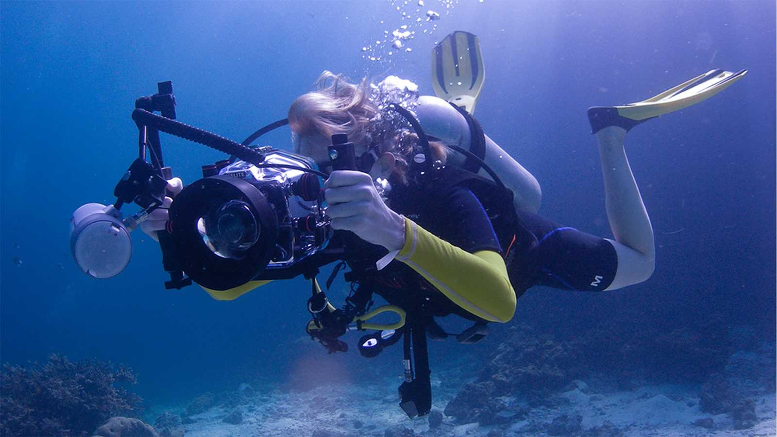 Снимаем под водой: как лучше и с какой техникой? | ichip.ru