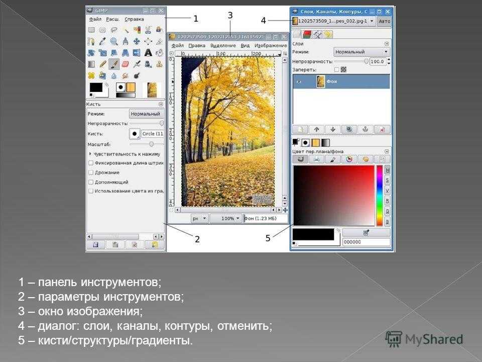 Gimp (2021) скачать бесплатно на русском языке для windows 7, 10