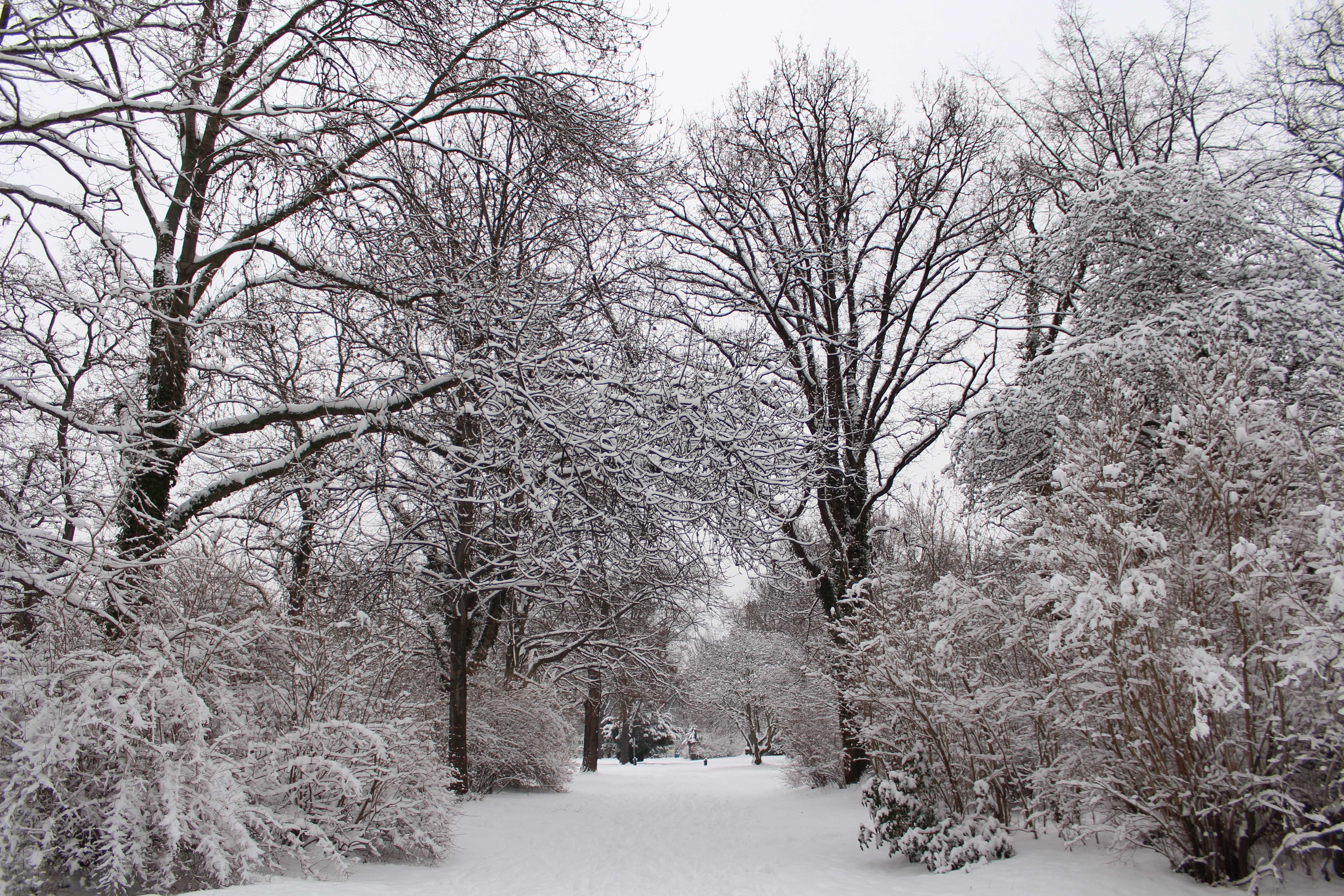 Съемка пейзажа в зимнее время. цифровая фотография от а до я [2-е издание]