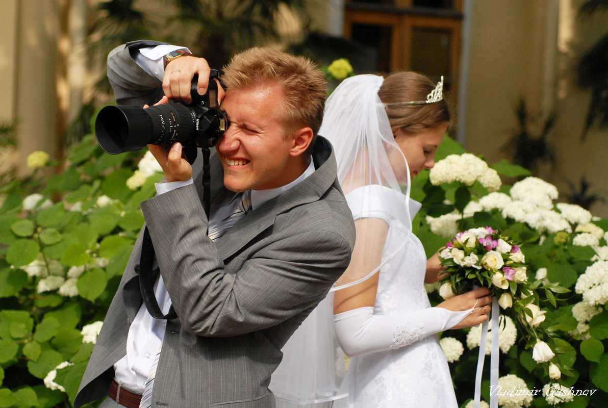 Как снимать и фотографировать свадьбу - советы начинающим